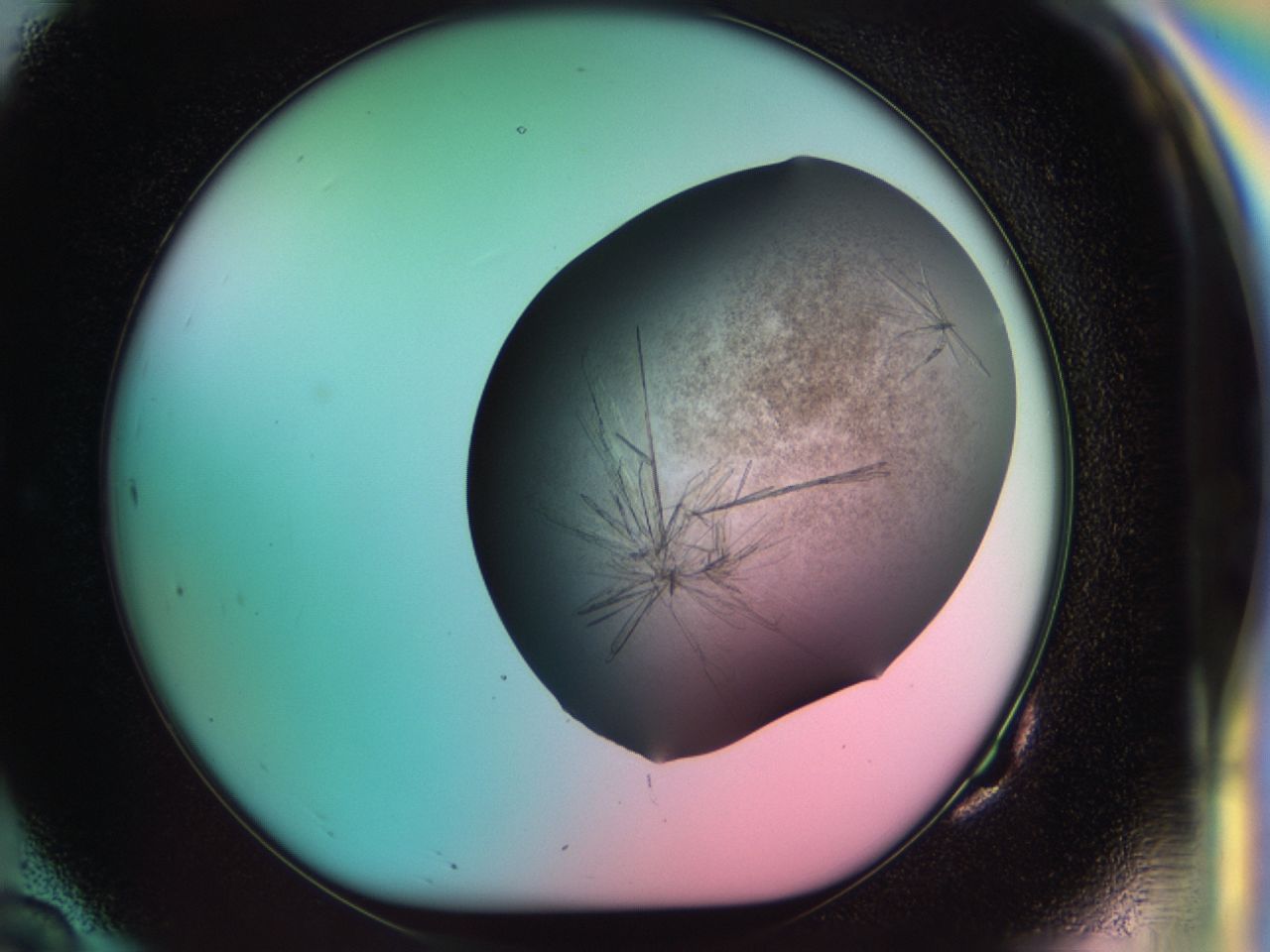 033r_G10_ImagerDefaults_8.jpg