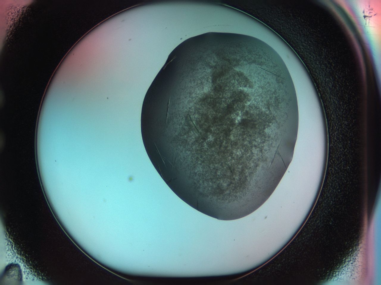 033s_C11_ImagerDefaults_7.jpg