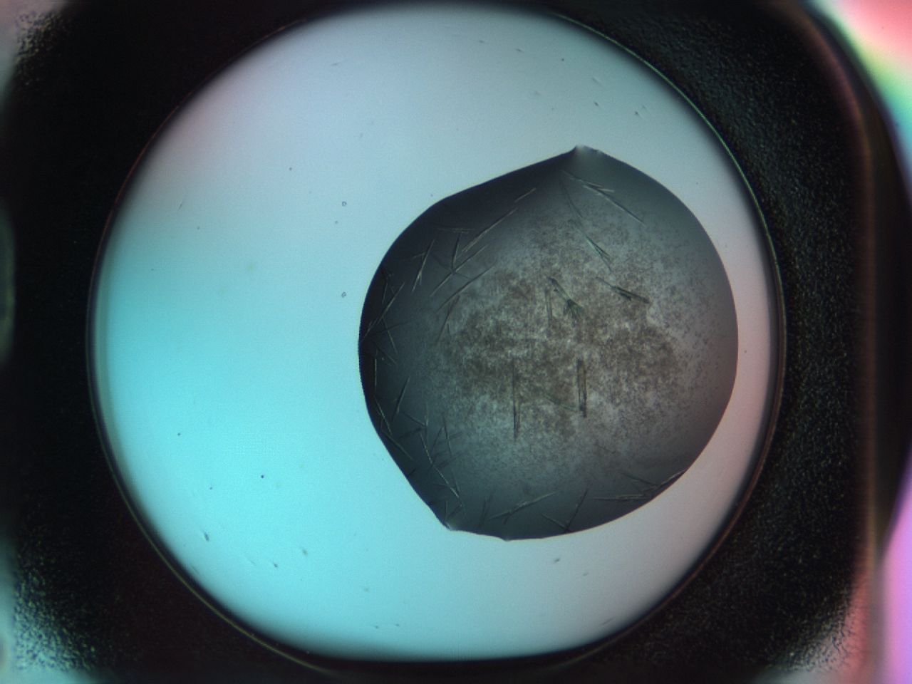 033s_D5_ImagerDefaults_7.jpg