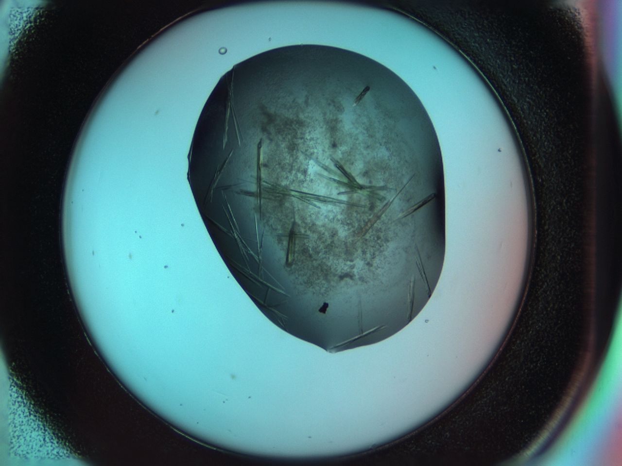 033s_D5_ImagerDefaults_9.jpg
