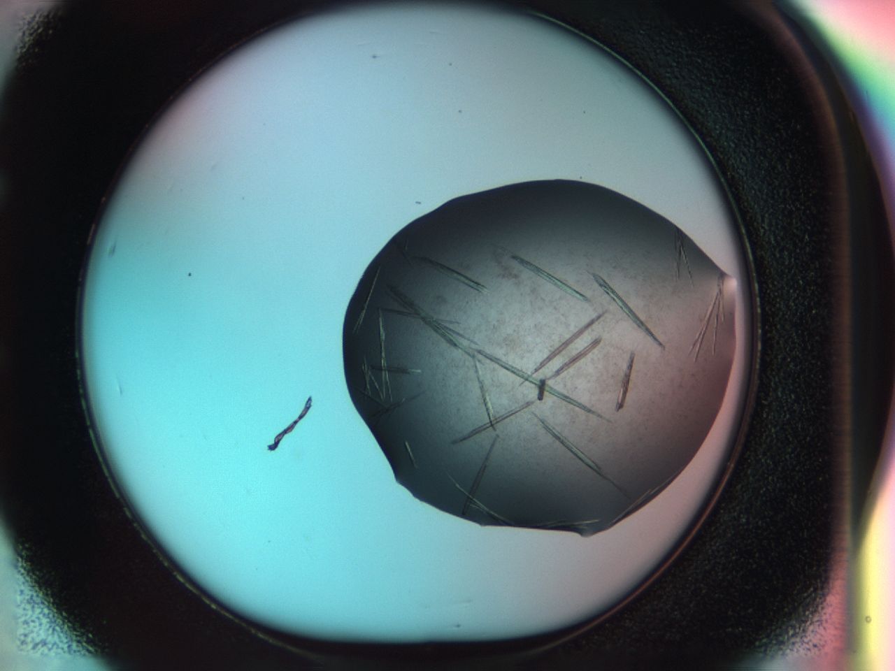 033s_E5_ImagerDefaults_8.jpg