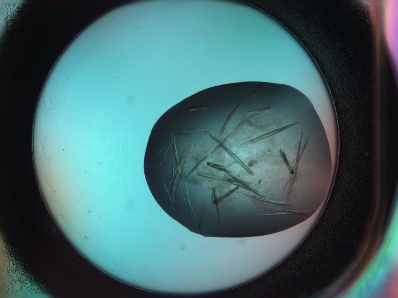 033s_E5_ImagerDefaults_9.jpg