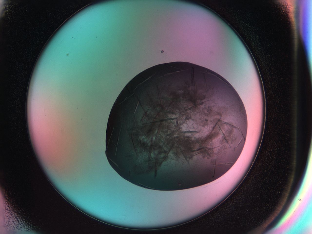 033s_F6_ImagerDefaults_8.jpg