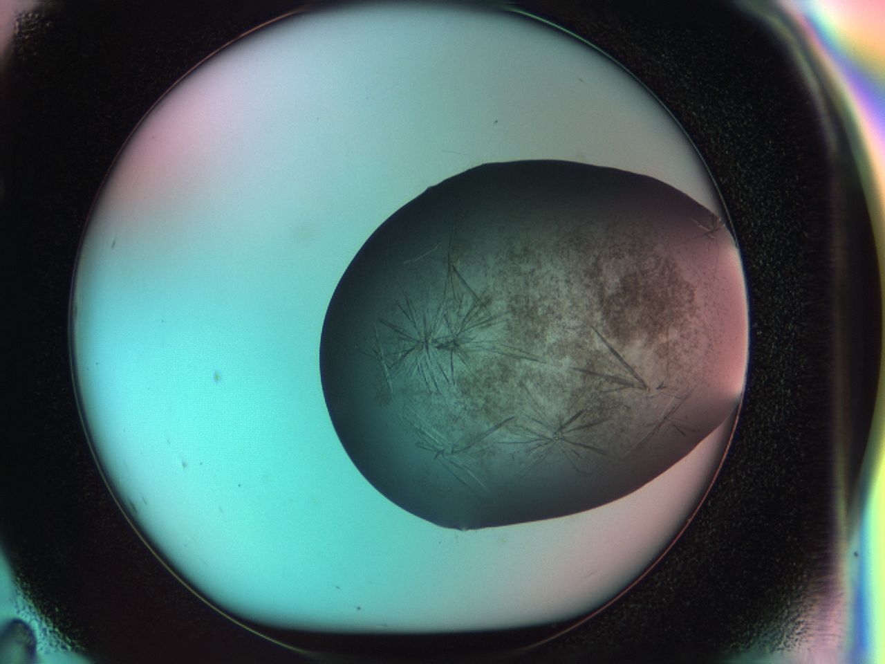 033s_F11_ImagerDefaults_7.jpg