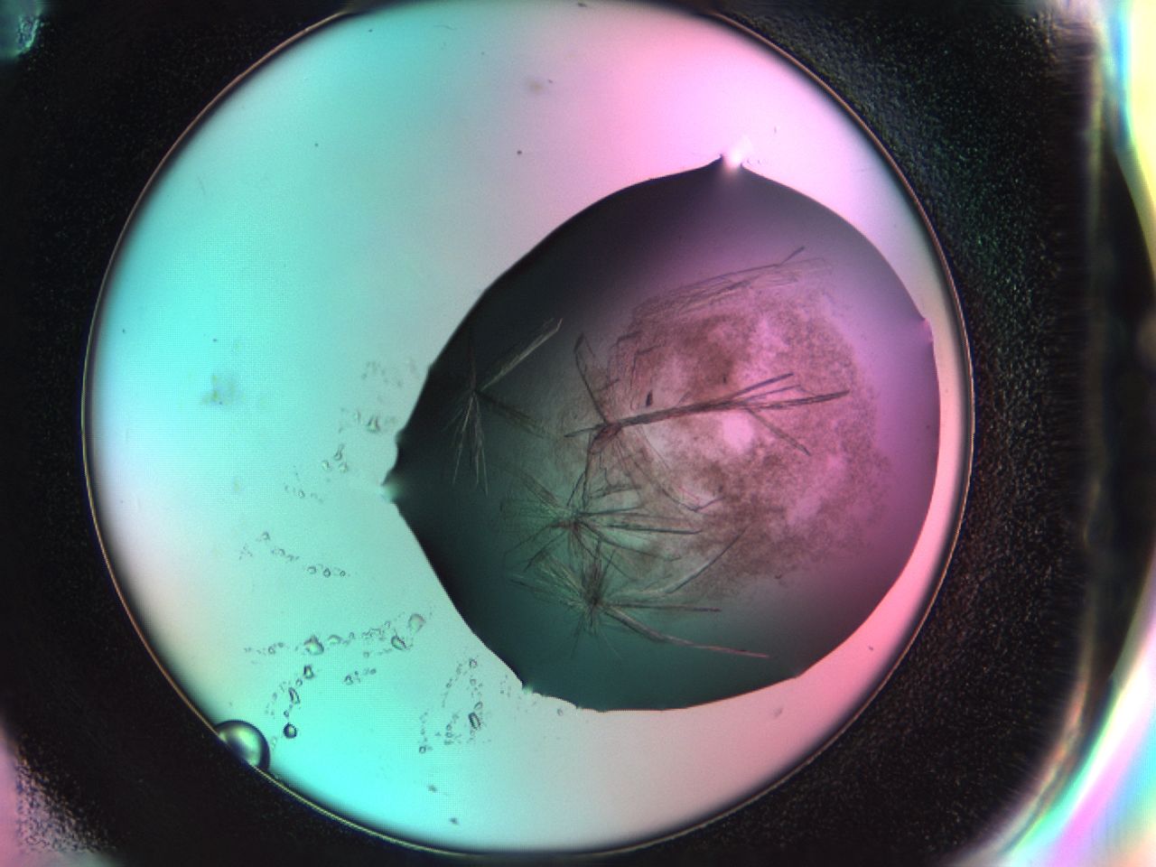033s_F11_ImagerDefaults_8.jpg