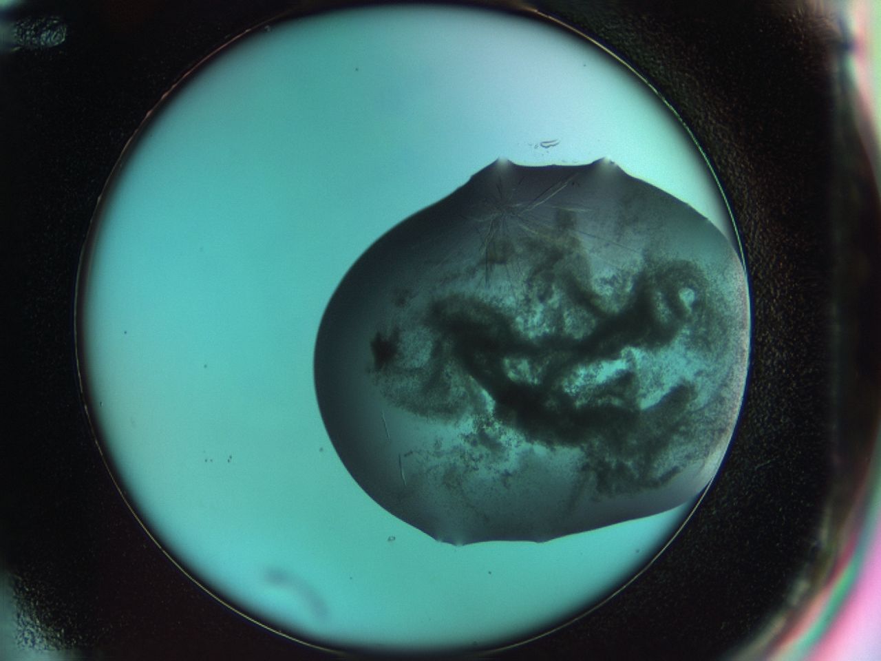 033s_F12_ImagerDefaults_8.jpg
