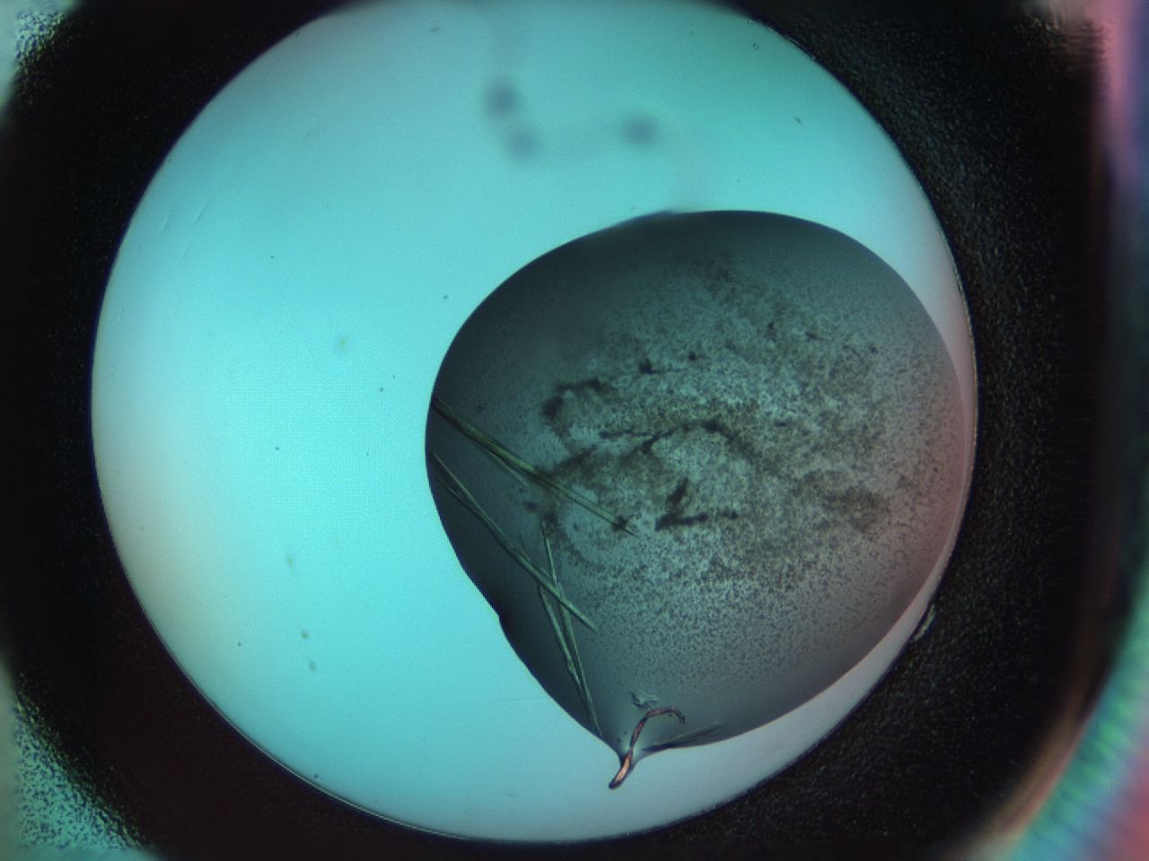033s_E4_ImagerDefaults_8.jpg