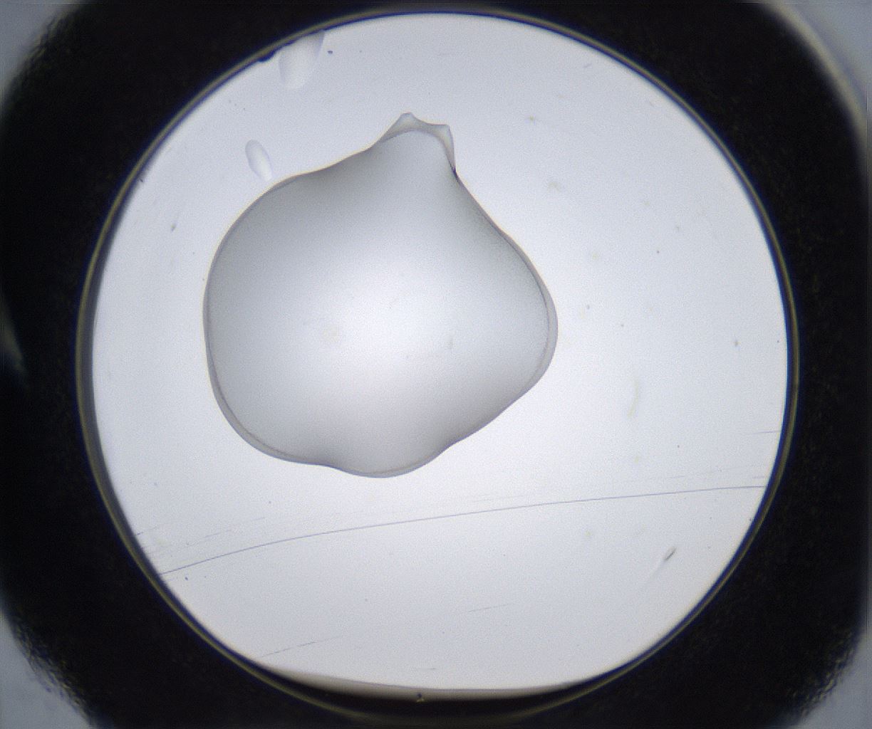folderID380_plateID2380_batchID11225_wellNum4_profileID1_d1_r175462_ef.jpg