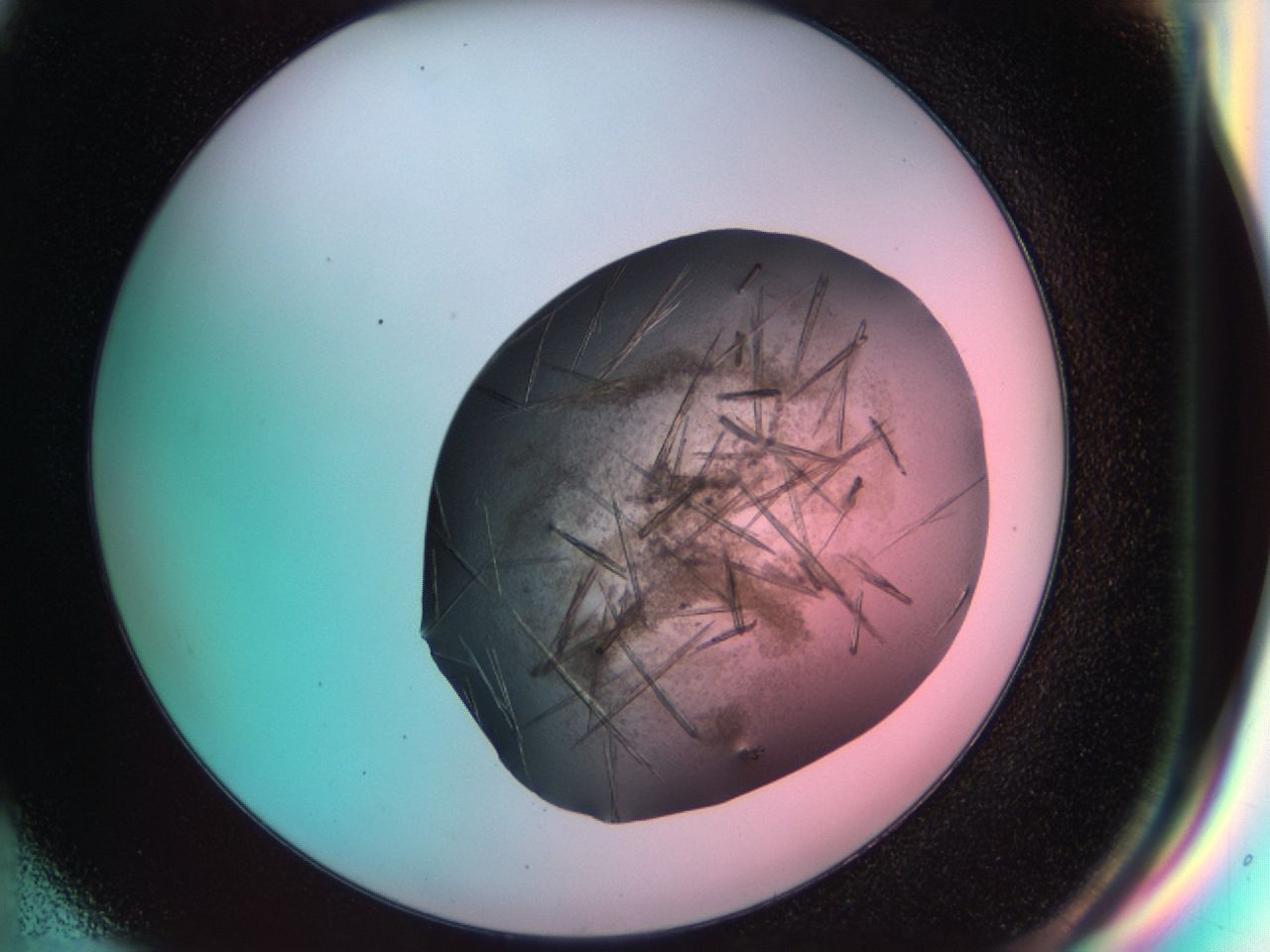 033s_G6_ImagerDefaults_9.jpg