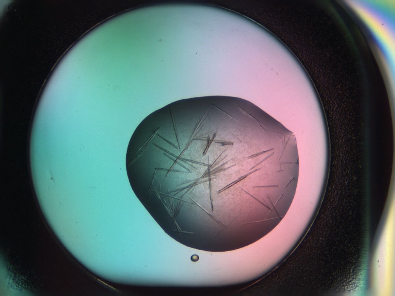 033s_H5_ImagerDefaults_8.jpg