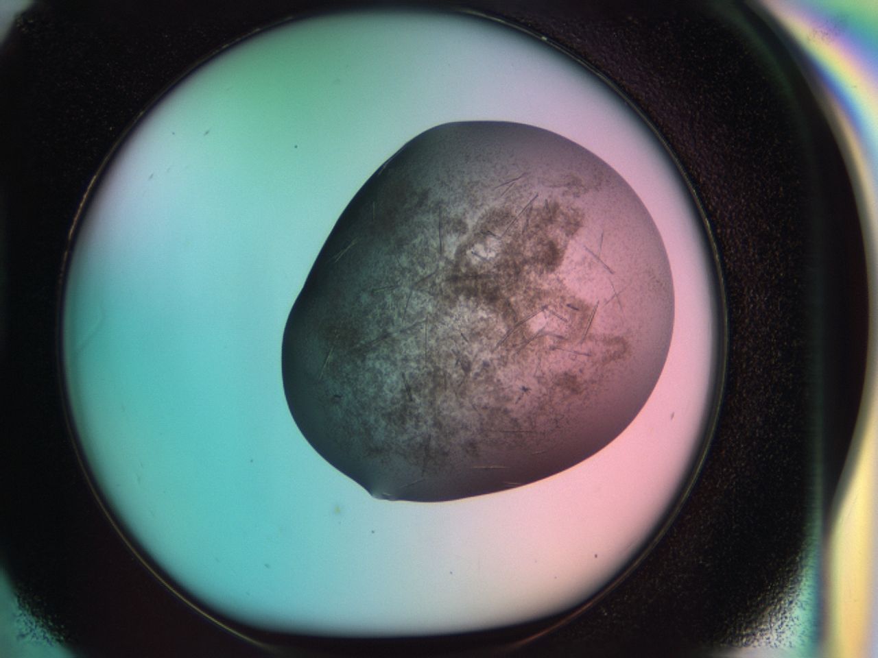 033s_H6_ImagerDefaults_7.jpg
