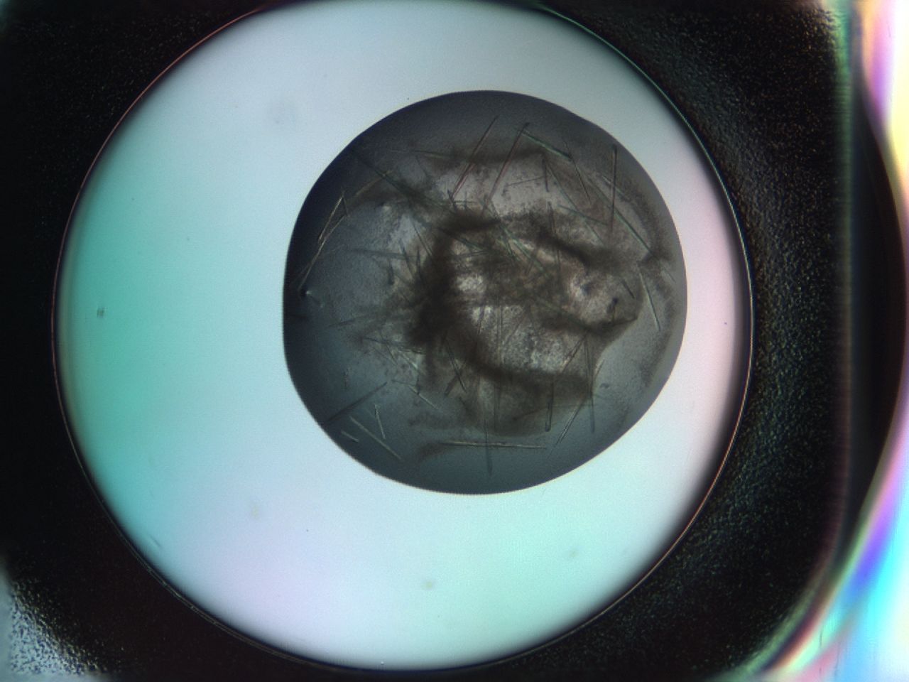 033s_H6_ImagerDefaults_9.jpg