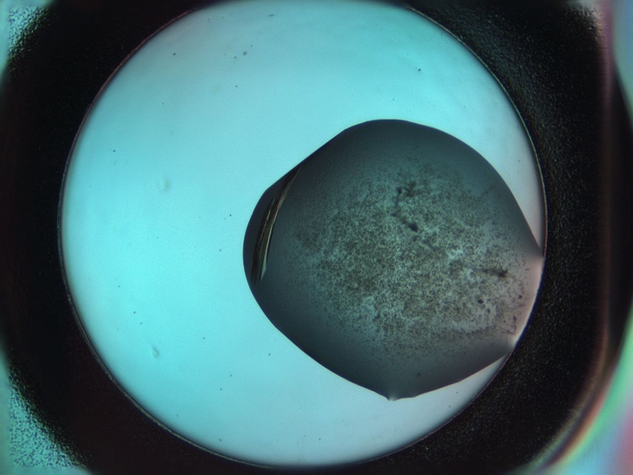 033s_D4_ImagerDefaults_9.jpg