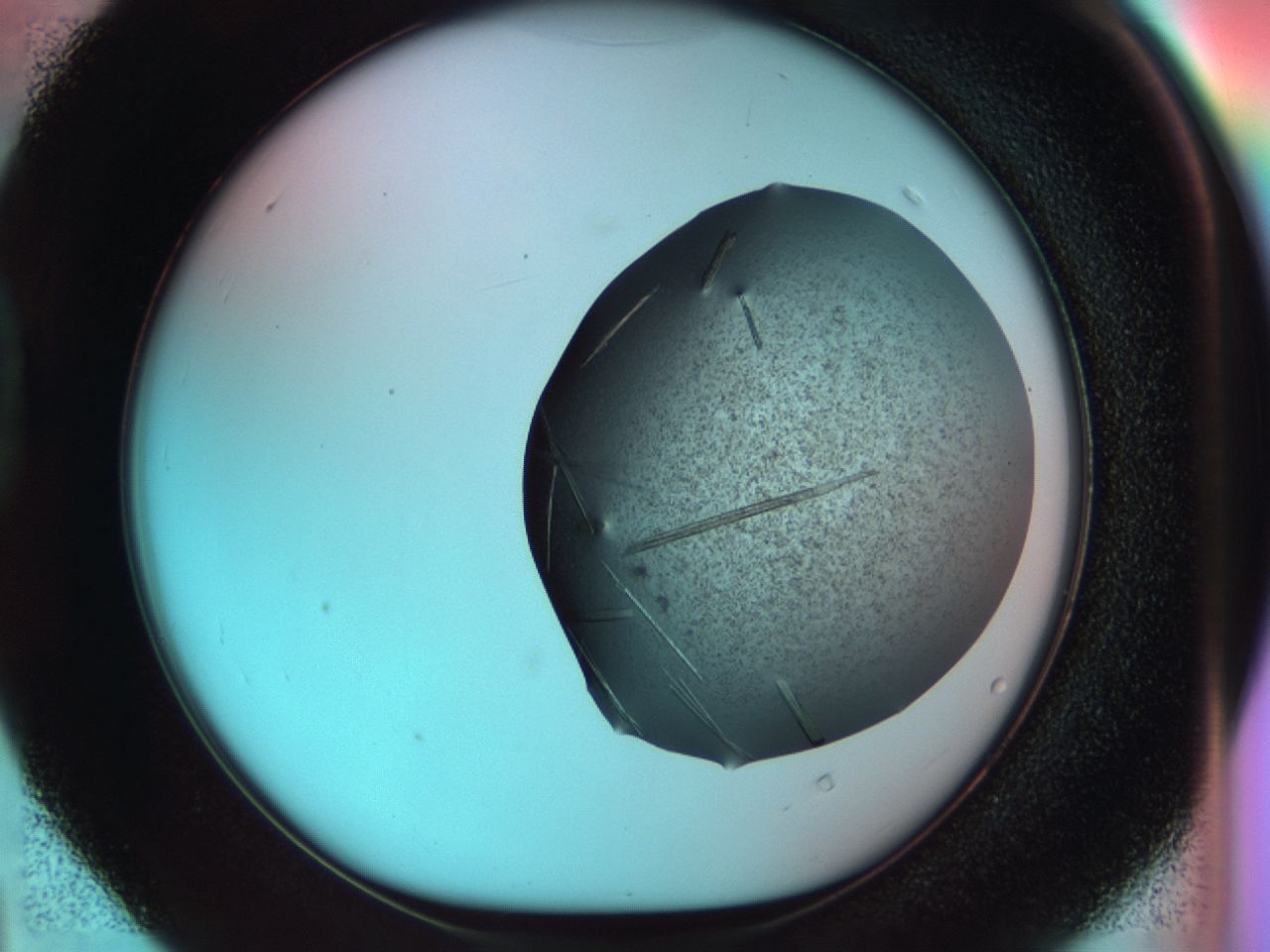 033s_D4_ImagerDefaults_8.jpg