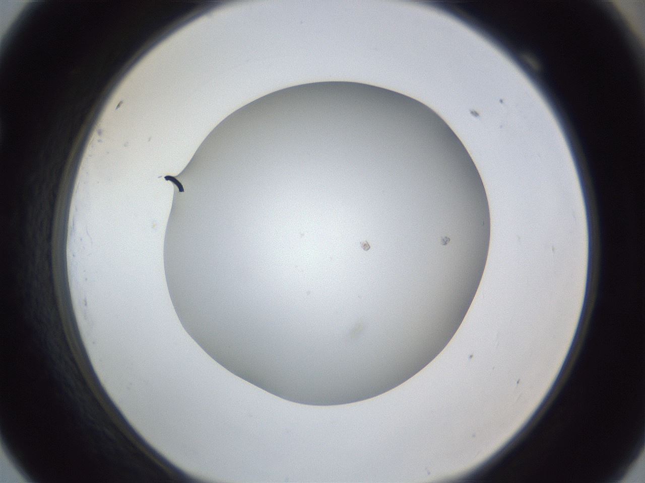 folderID382_plateID1382_batchID4984_wellNum69_profileID1_d1_r84468_ef.jpg