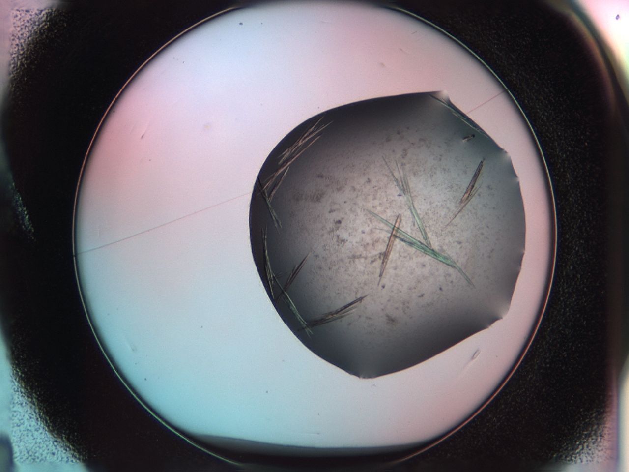 033s_A4_ImagerDefaults_9.jpg
