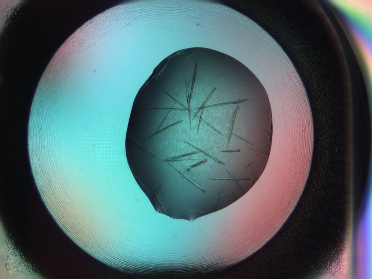033s_F5_ImagerDefaults_8.jpg