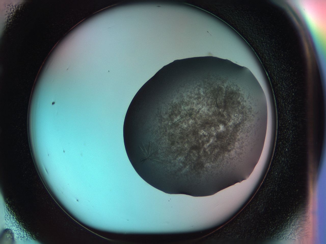 033s_E11_ImagerDefaults_7.jpg