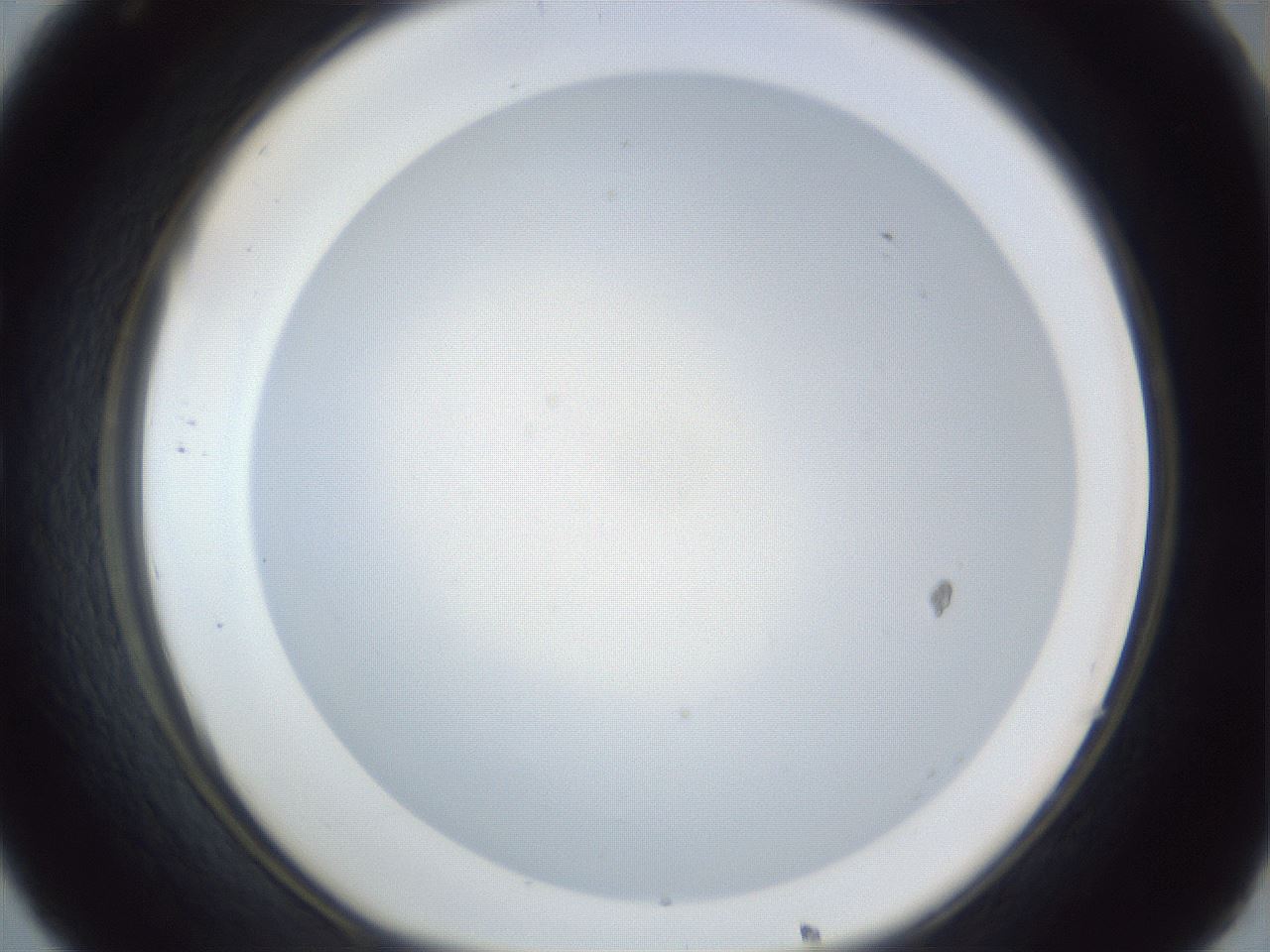 folderID383_plateID1383_batchID4985_wellNum32_profileID1_d1_r84527_ef.jpg