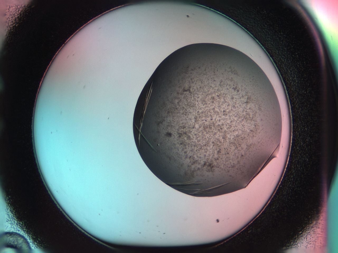 033s_C10_ImagerDefaults_8.jpg