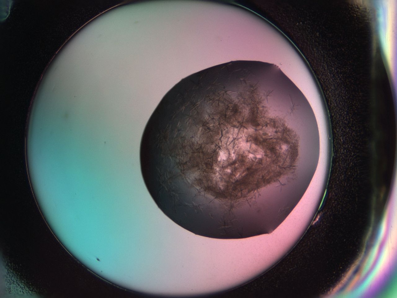 033s_G11_ImagerDefaults_7.jpg