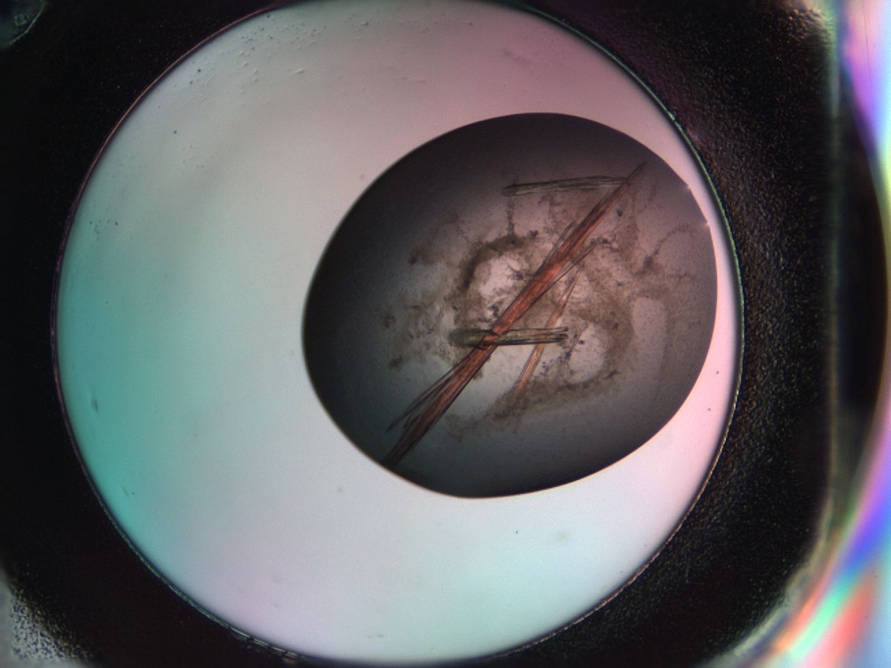 033s_H10_ImagerDefaults_9.jpg