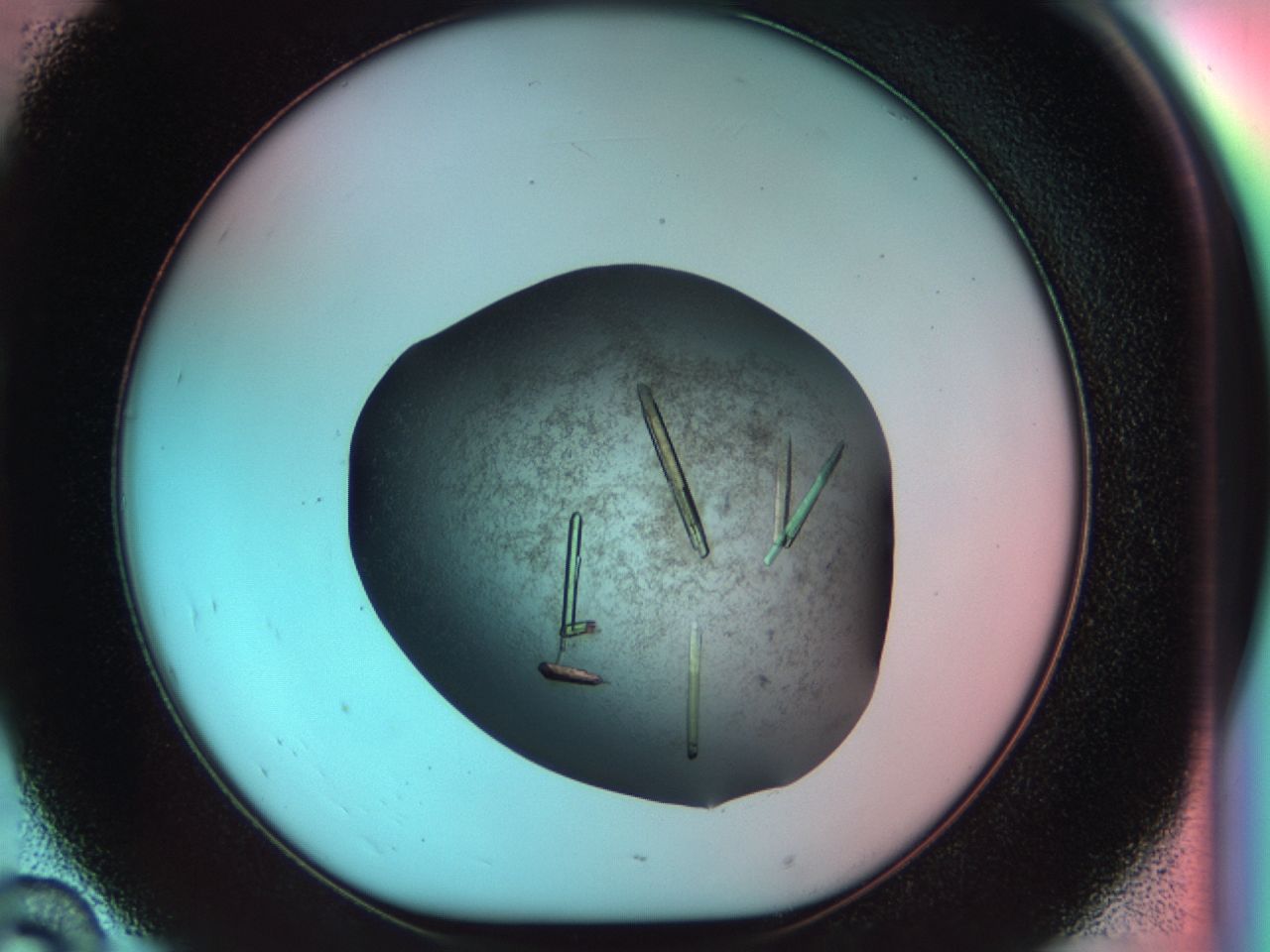 034d_D10_ImagerDefaults_8.jpg