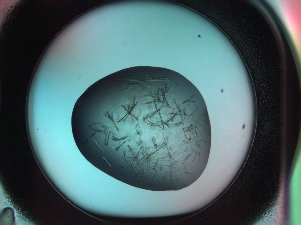 034d_D11_ImagerDefaults_9.jpg