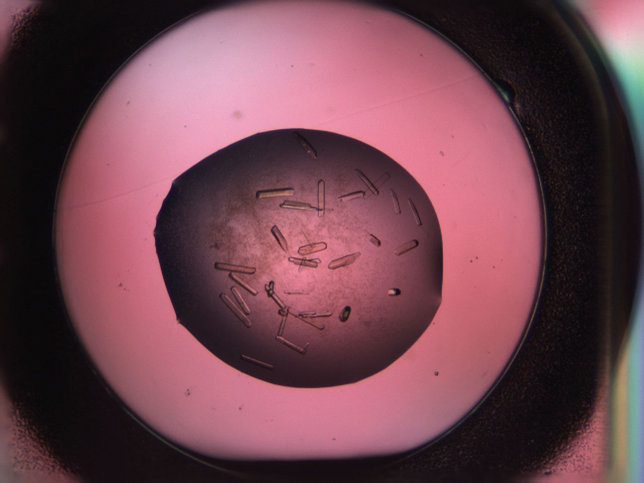 034d_E1_ImagerDefaults_9.jpg