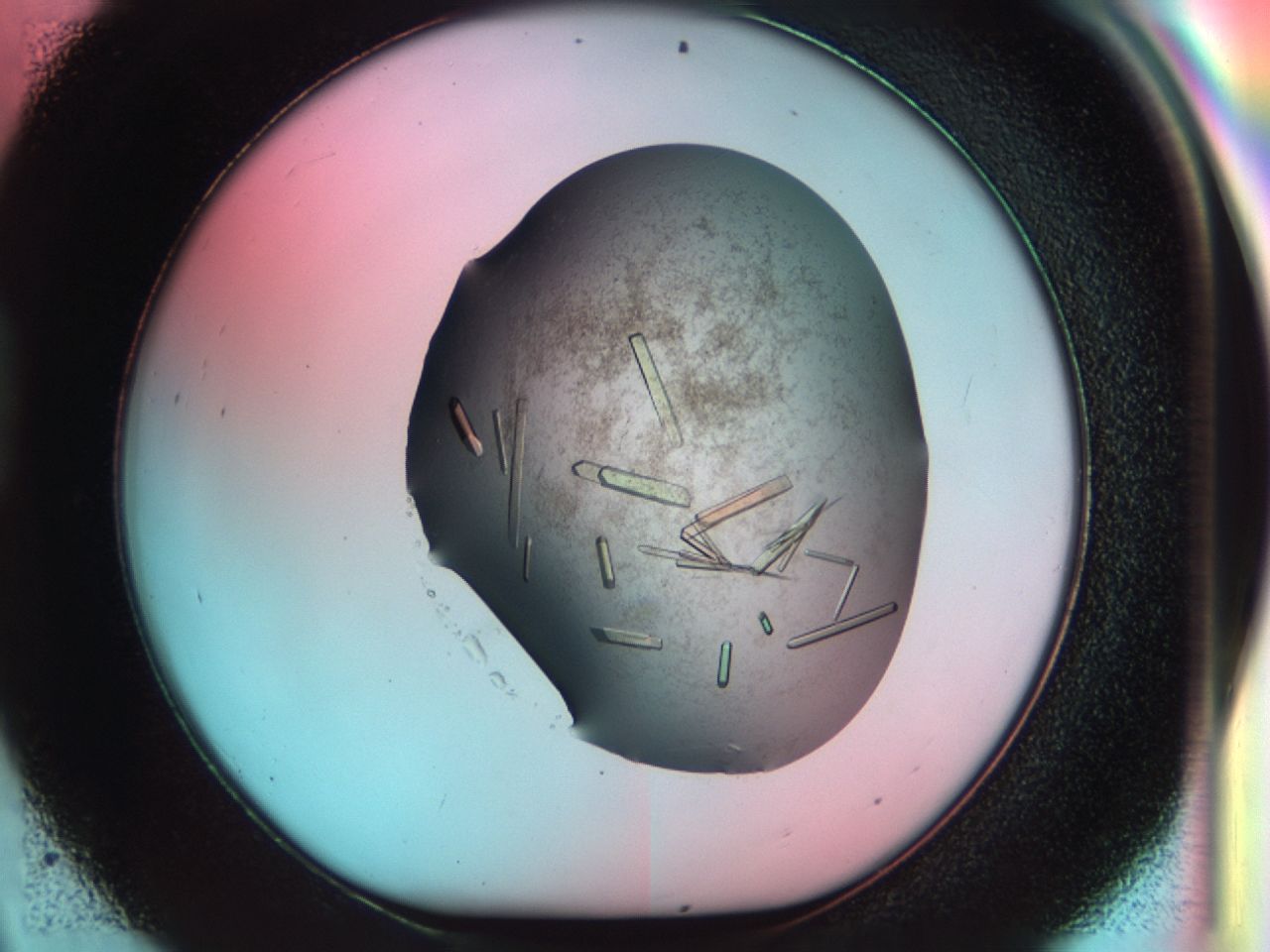 034d_D9_ImagerDefaults_9.jpg