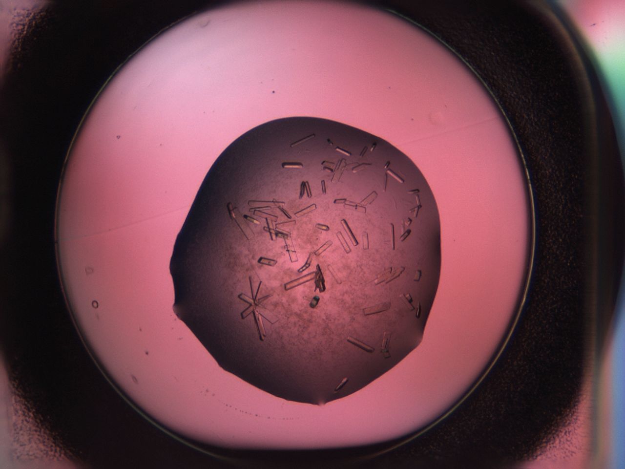 034d_D1_ImagerDefaults_9.jpg