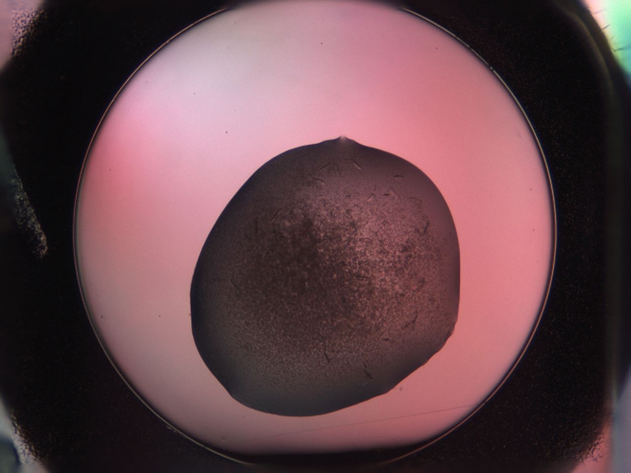 034d_A2_ImagerDefaults_6.jpg