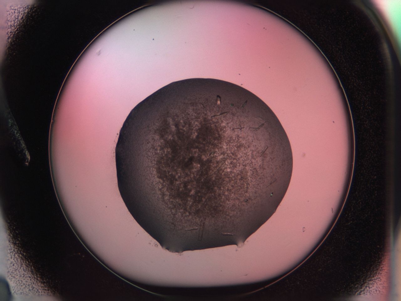 034d_A3_ImagerDefaults_6.jpg