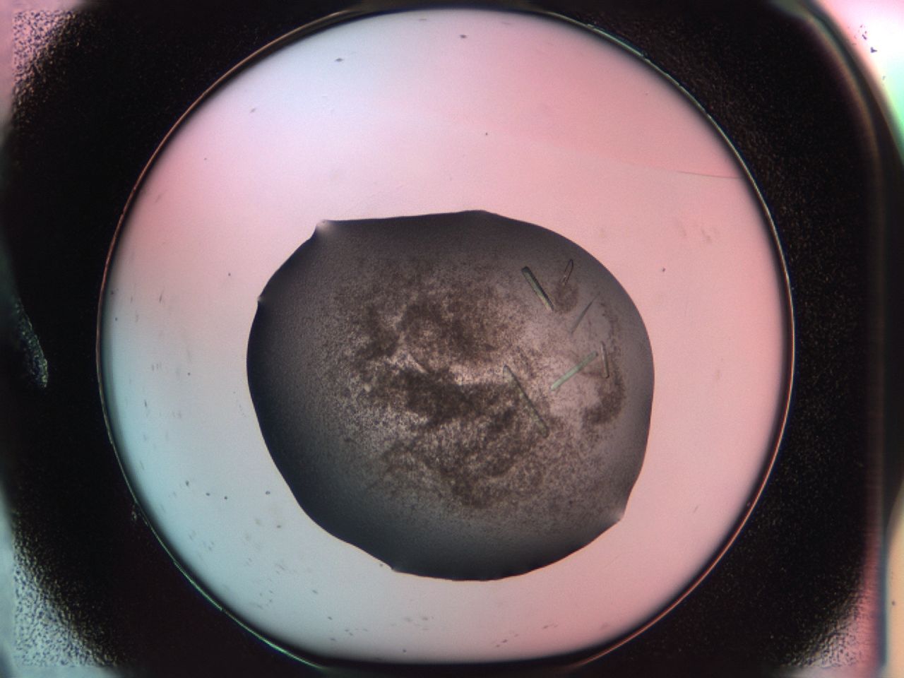034d_A9_ImagerDefaults_8.jpg