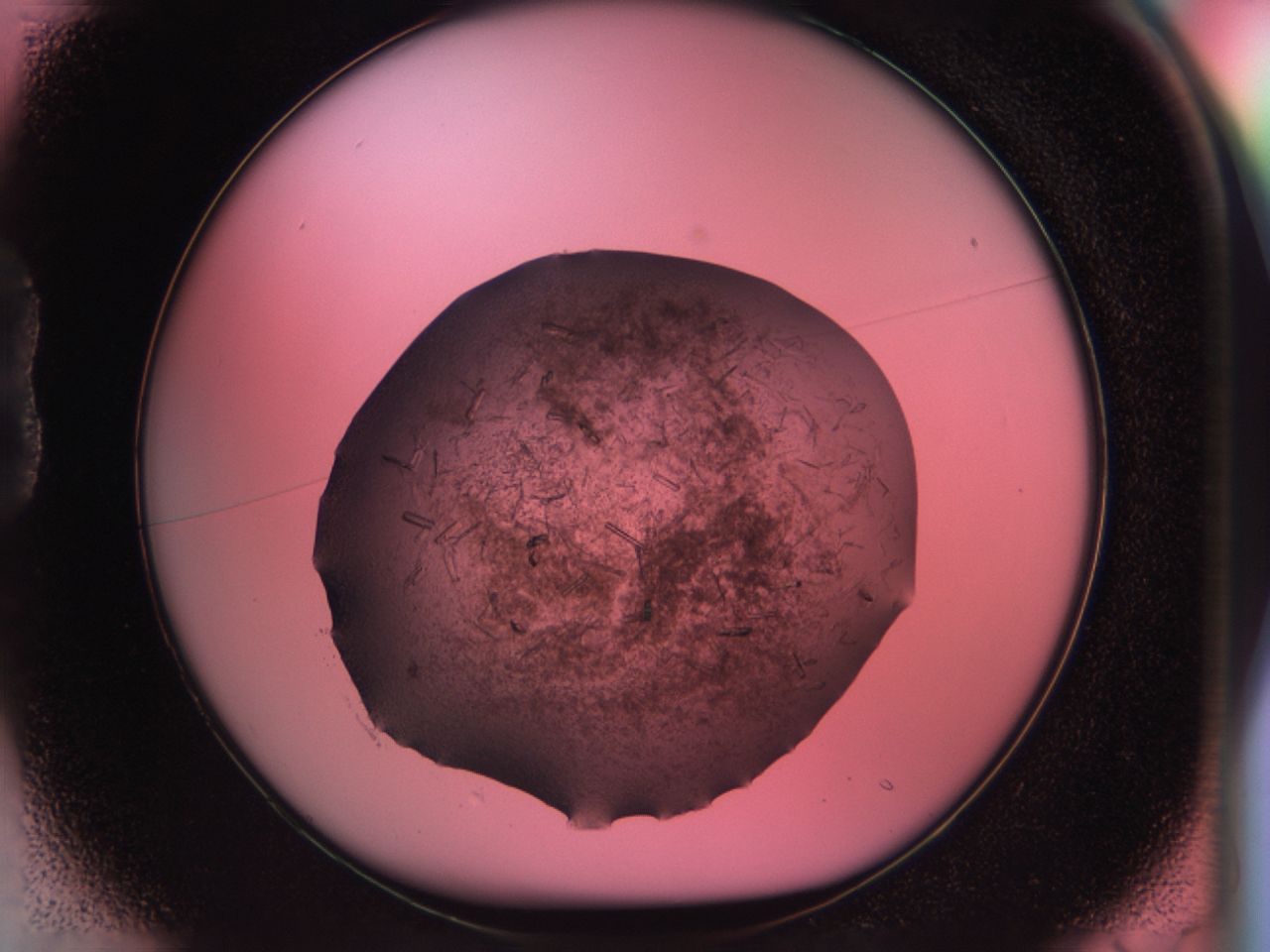 034d_B1_ImagerDefaults_6.jpg
