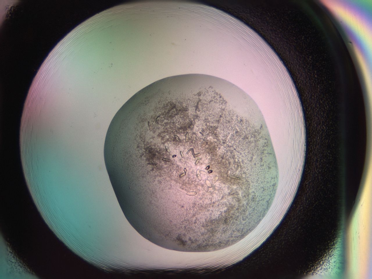 034f_H2_ImagerDefaults_7.jpg