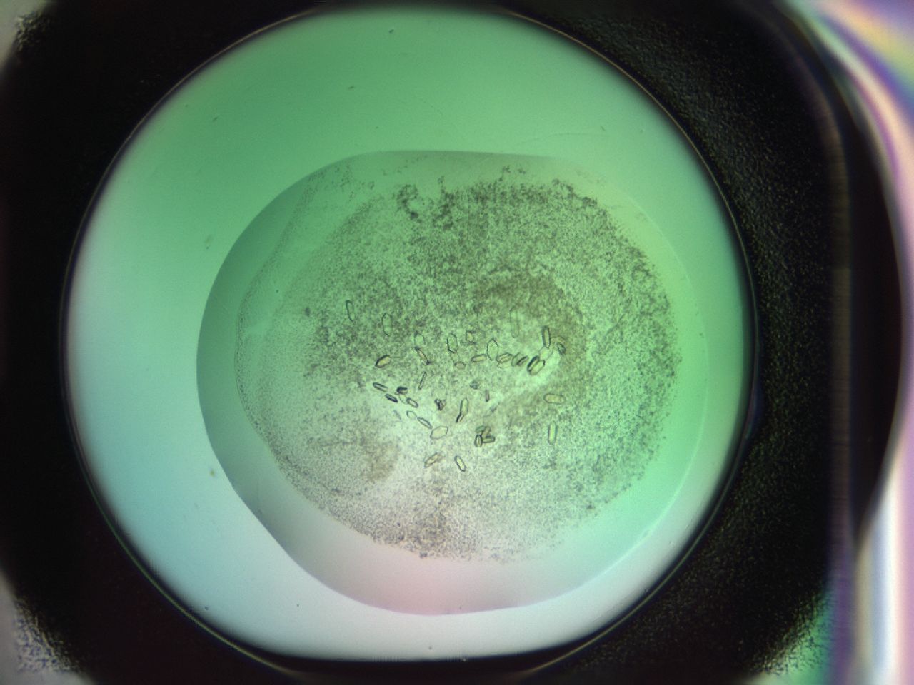 034f_H3_ImagerDefaults_8.jpg