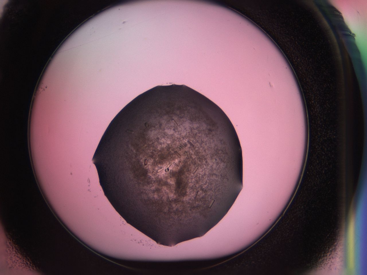 034f_F1_ImagerDefaults_6.jpg