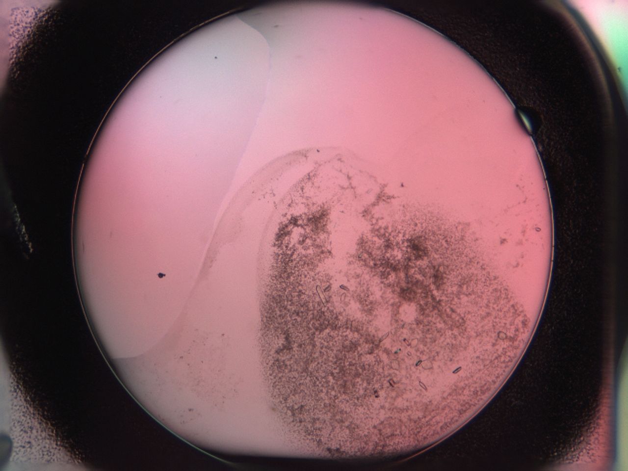034f_A7_ImagerDefaults_6.jpg