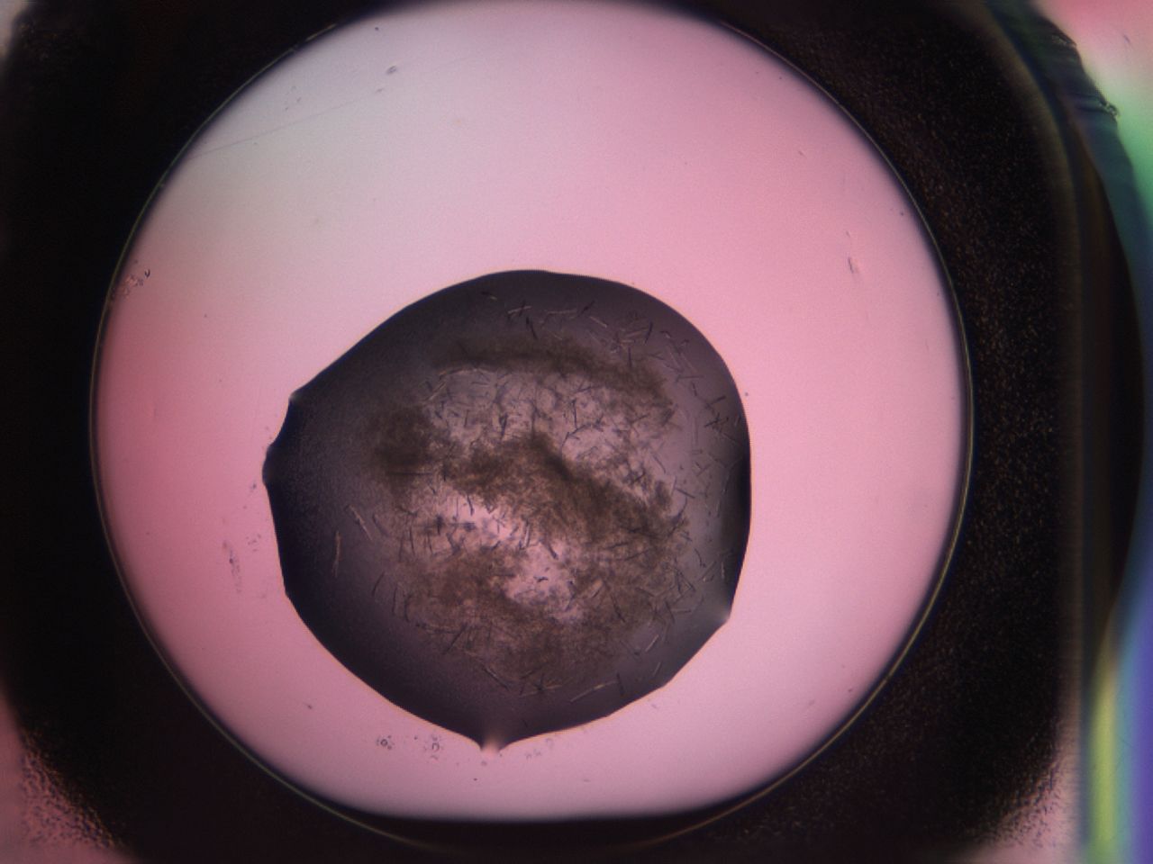 034g_F1_ImagerDefaults_6.jpg