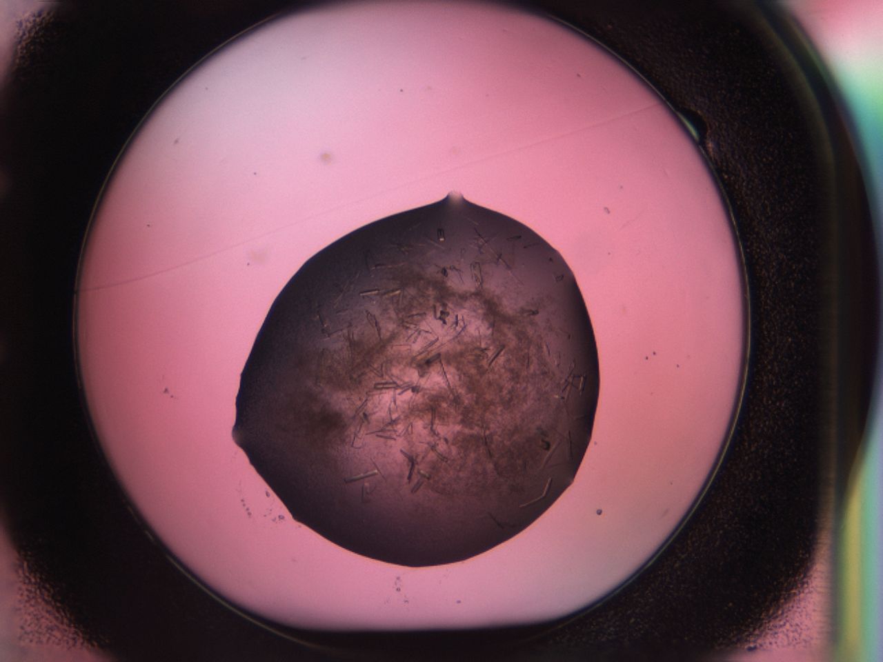 034g_E1_ImagerDefaults_6.jpg