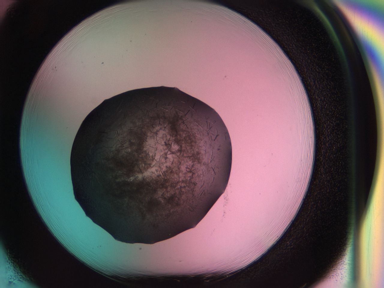 034g_H1_ImagerDefaults_6.jpg