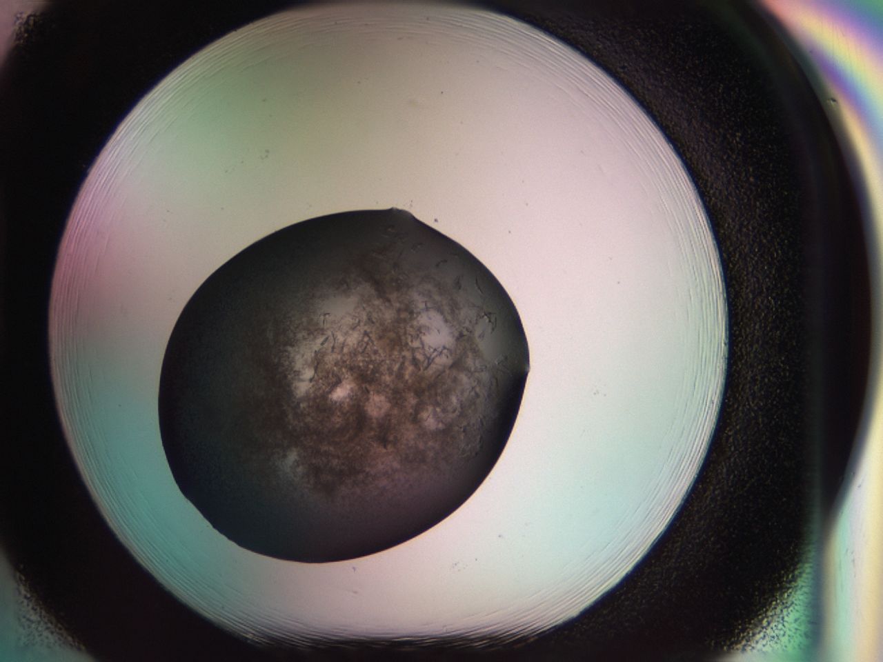 034g_H2_ImagerDefaults_6.jpg