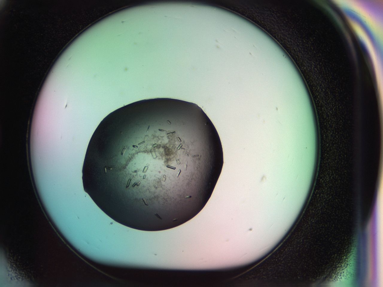 034g_G9_ImagerDefaults_9.jpg