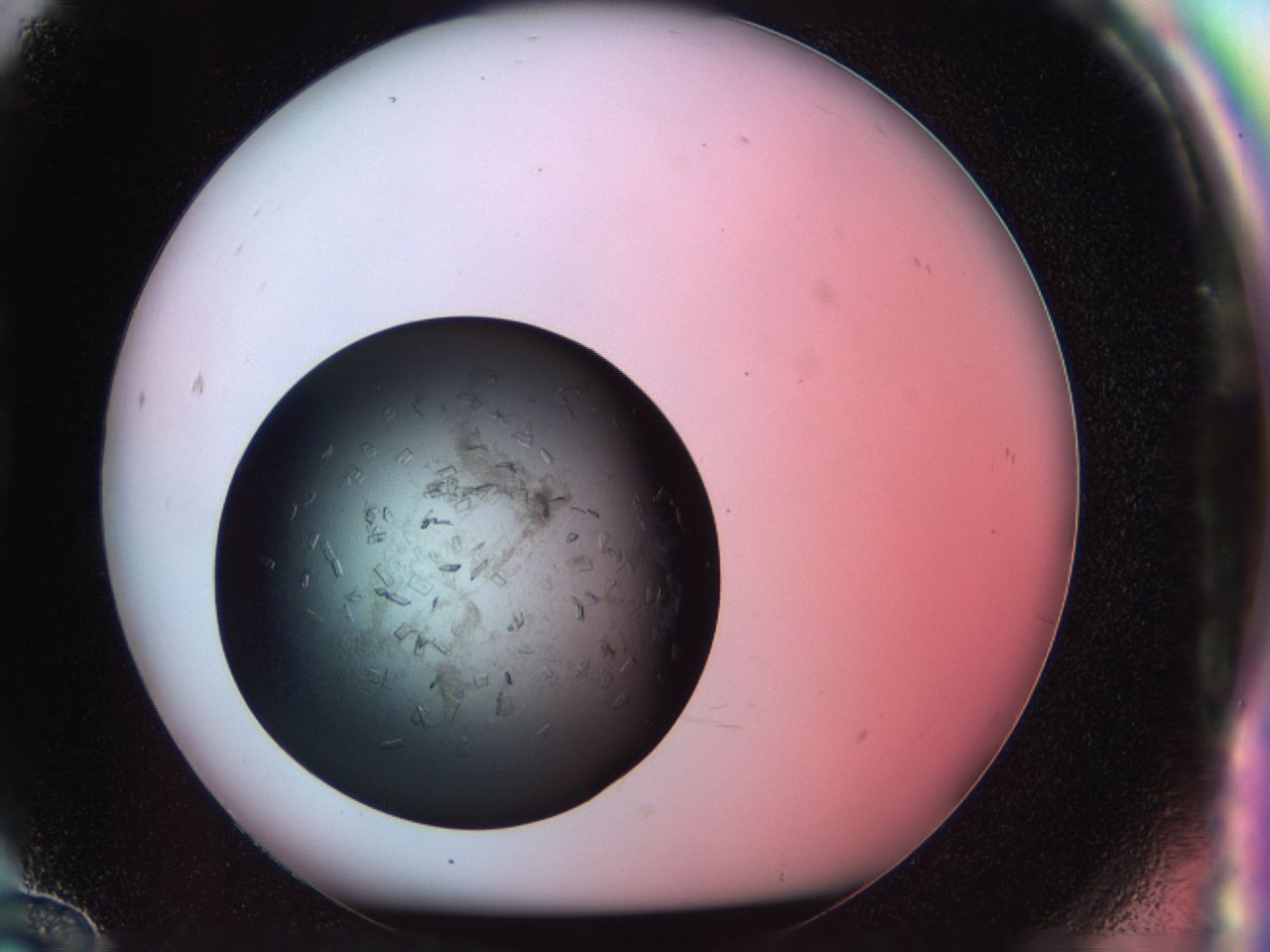 034g_G12_ImagerDefaults_7.jpg