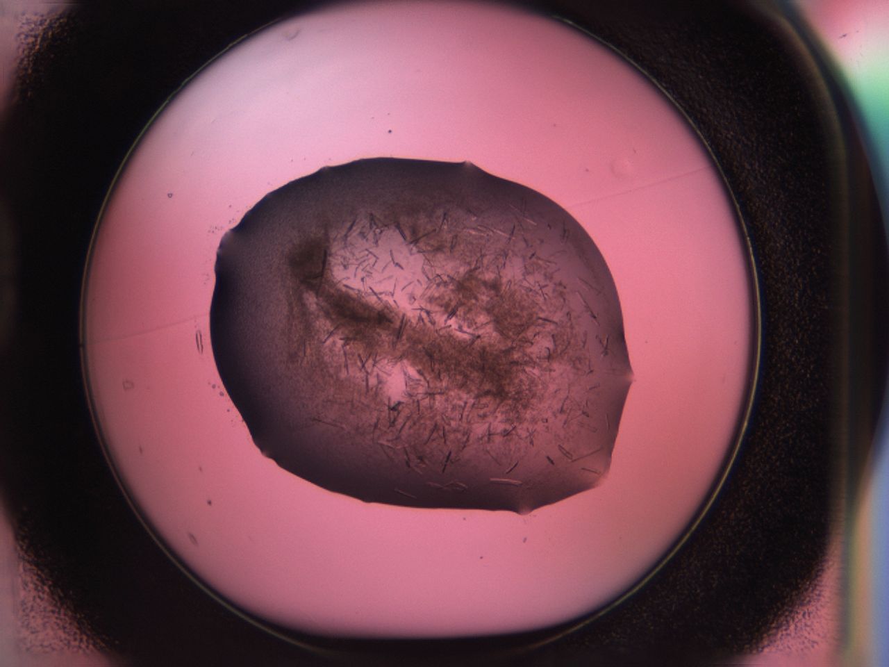034g_D1_ImagerDefaults_6.jpg