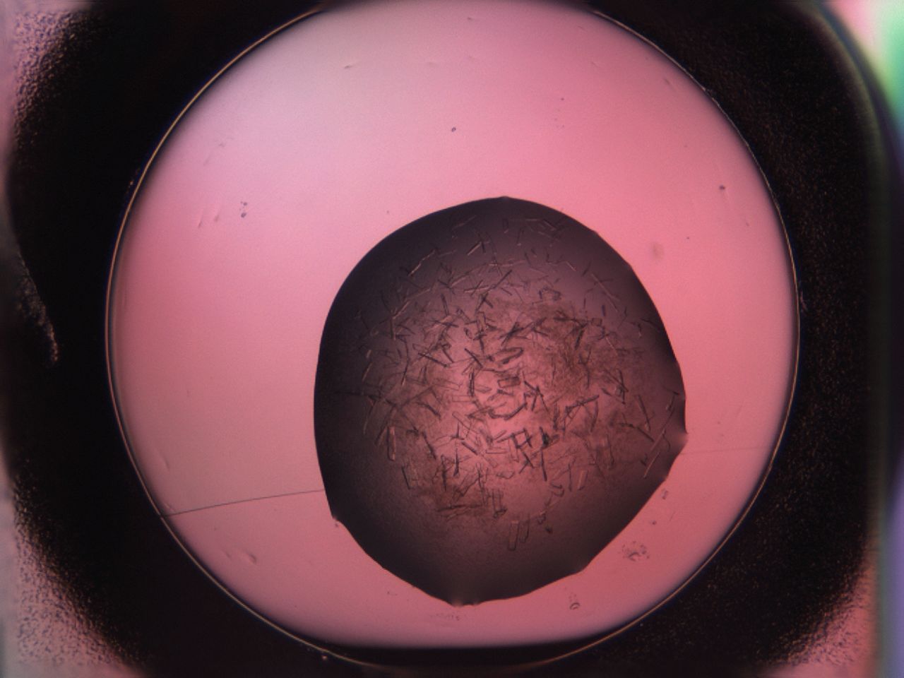 034g_A1_ImagerDefaults_6.jpg