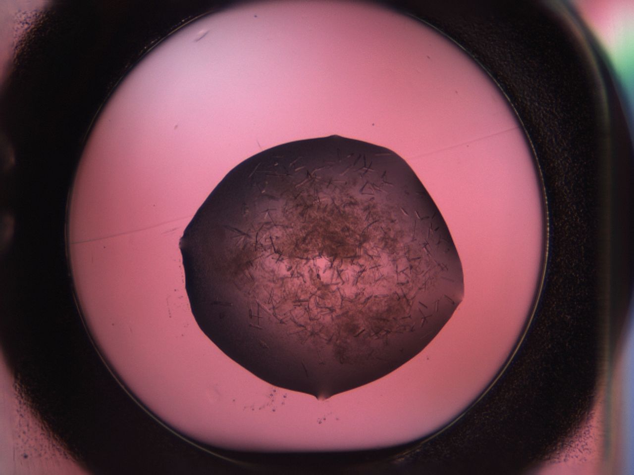 034g_C1_ImagerDefaults_6.jpg
