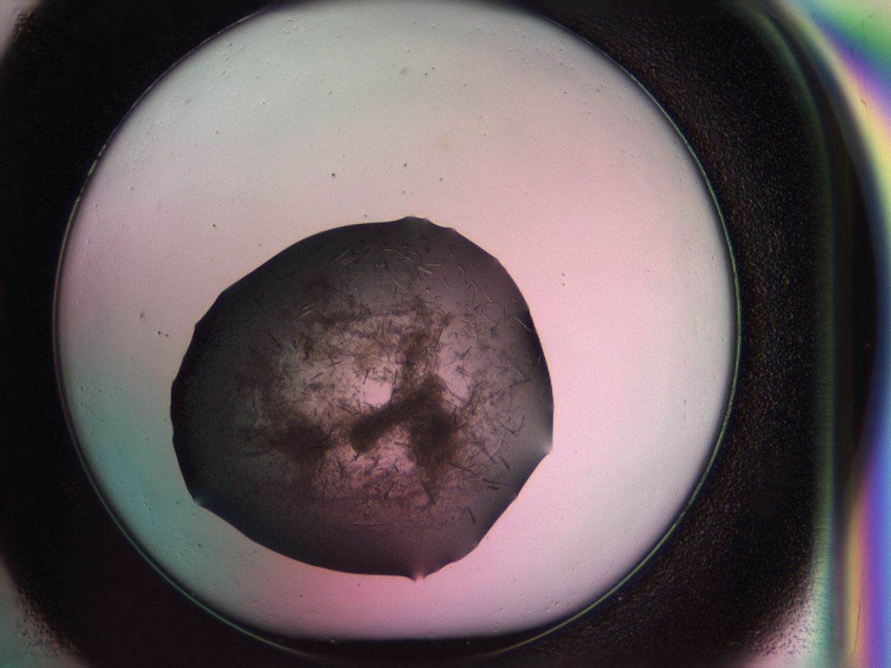 034g_G1_ImagerDefaults_6.jpg