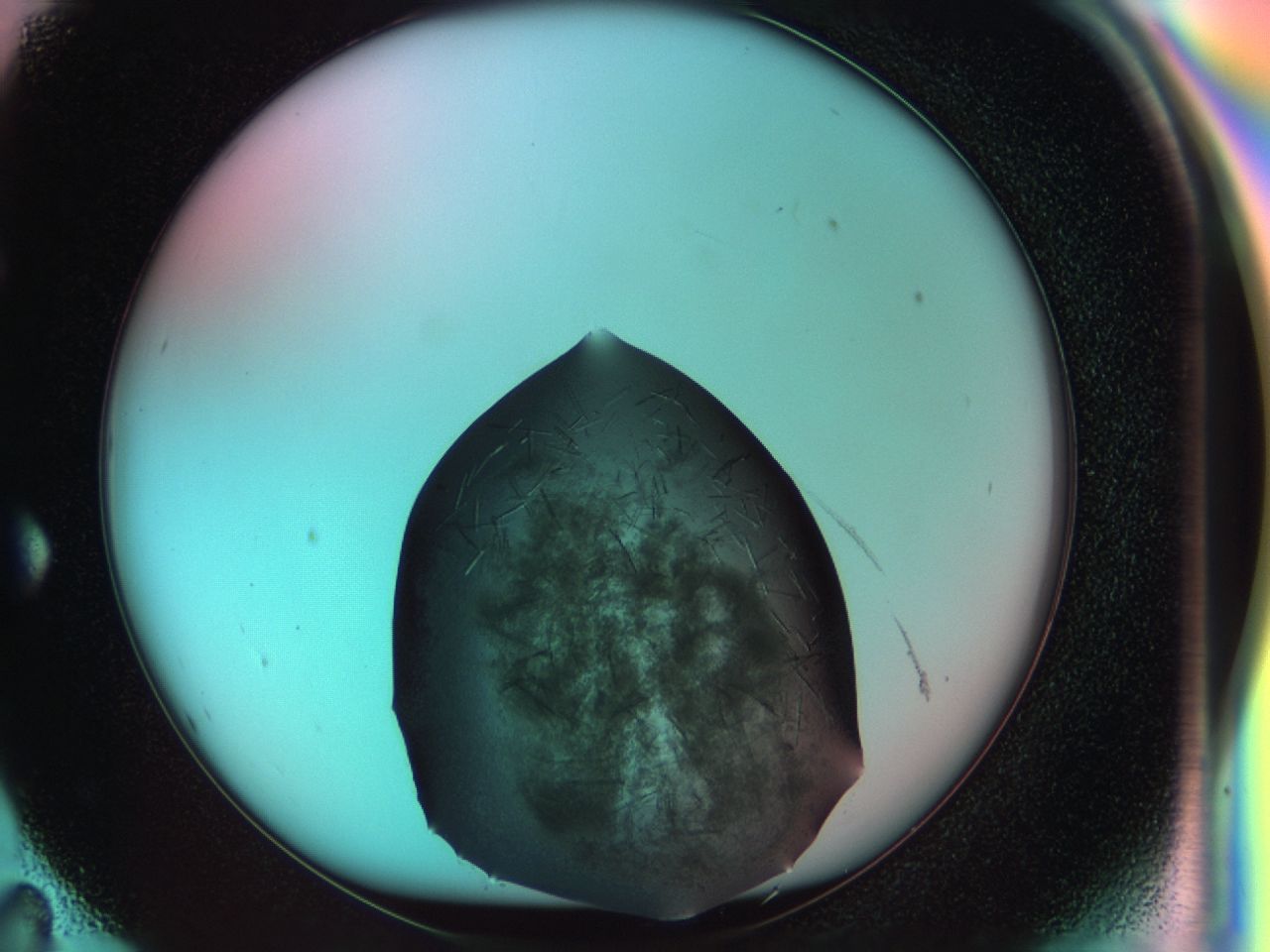 034g_F11_ImagerDefaults_6.jpg